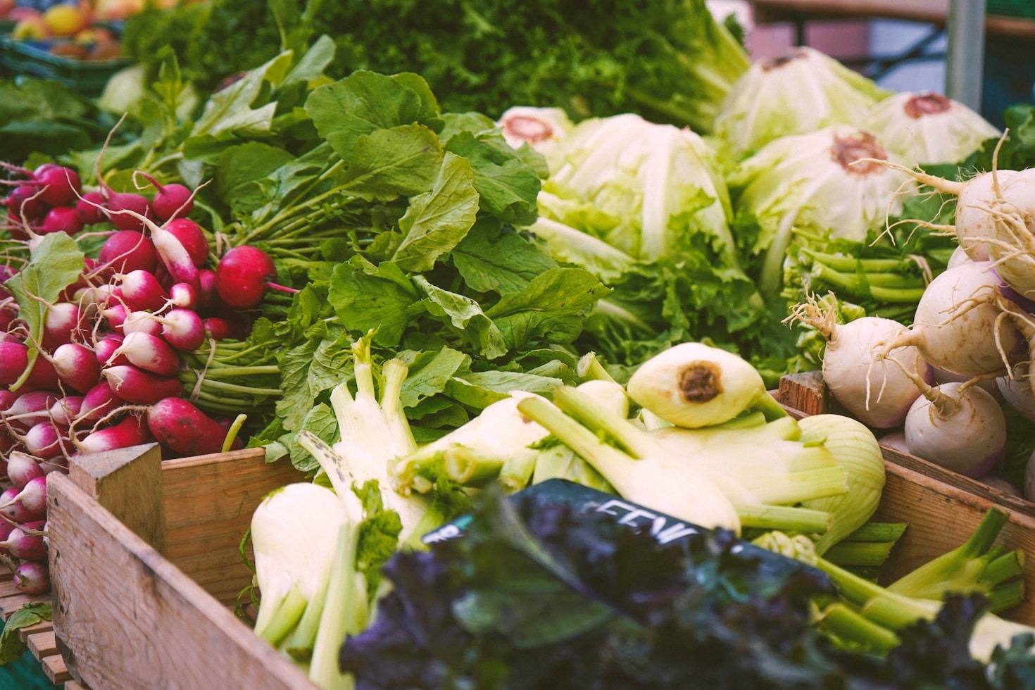 How SHINE is Revolutionizing the Home-Food Industry